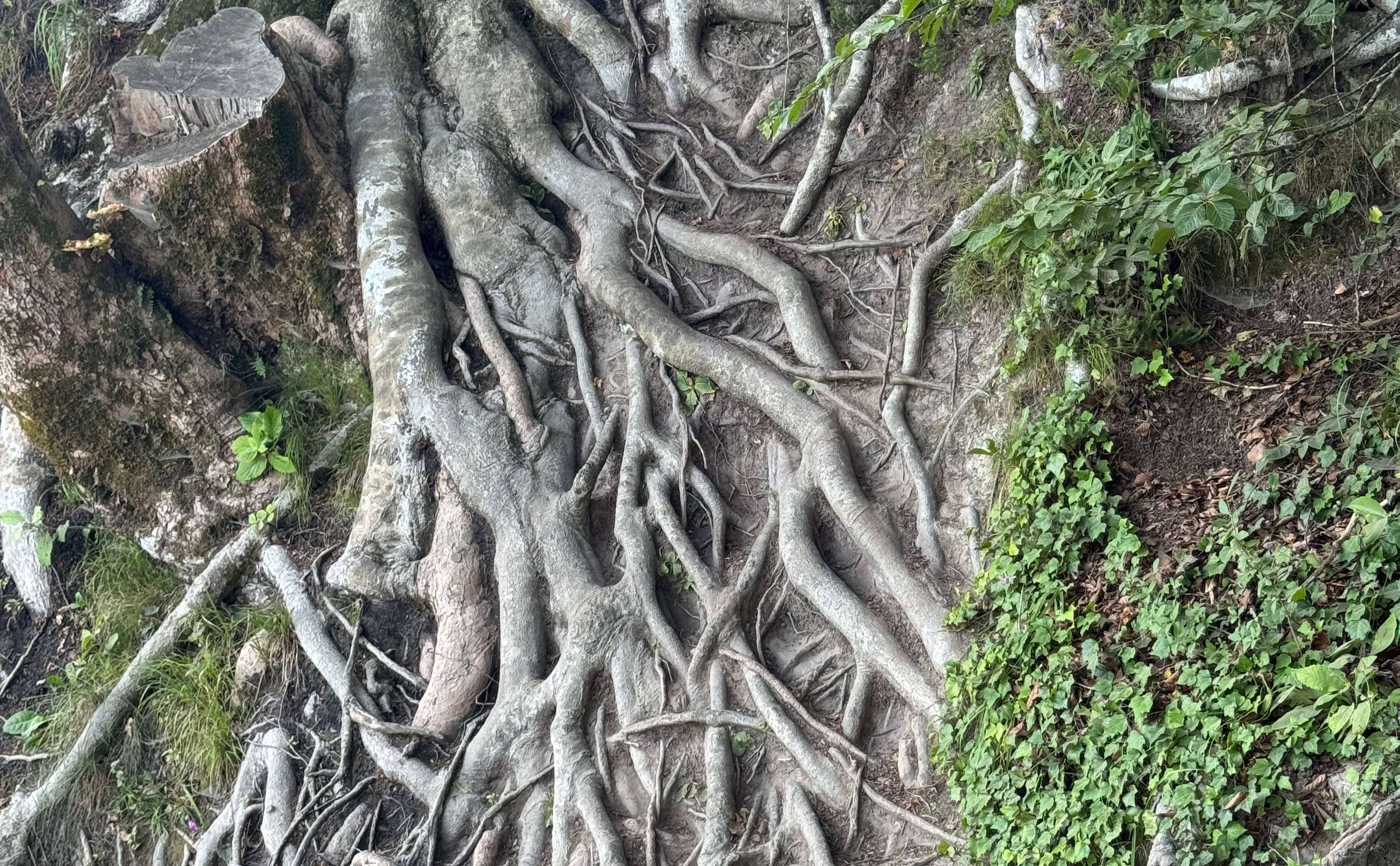 The Dark Sides of Modularization